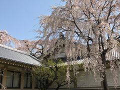 -醍醐寺