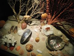 -亚龙湾中心广场·贝壳馆