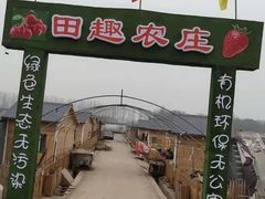 -田趣农庄草莓采摘园