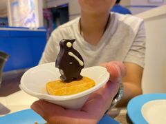 -帝企鹅自助餐厅•儿童岛•真企鹅(长隆企鹅酒店)