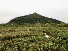 -狼山风景名胜区