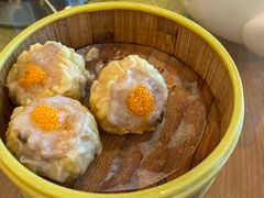 -新松记