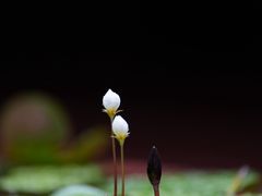 -许驸马府