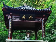 -北极阁公园