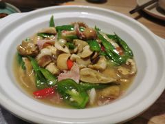-鲜菌江湖正宗野生菌火锅