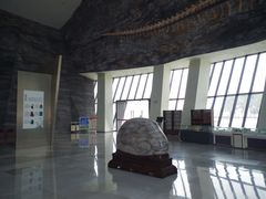 -中华赏石园