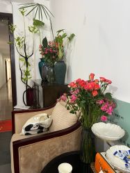 -宝丽姿