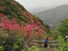 -木兰云雾山