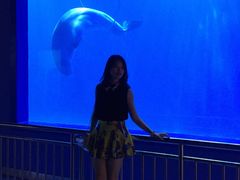 -多彩贵州城极地海洋世界