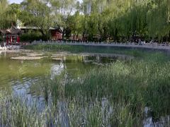 -文瀛公园