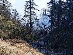 -瓦屋山景区