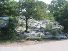 -原山国家森林公园