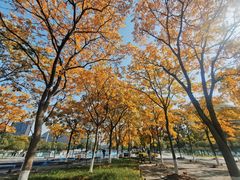 -城市阳台