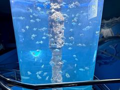-厦门海底世界