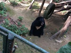 -关西瀑布