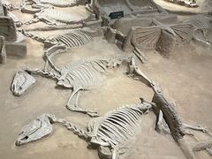 -洛阳周王城天子驾六博物馆