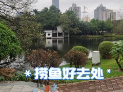 -晓港公园