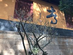 -舟山希尔顿酒店