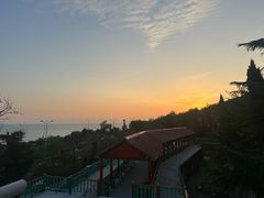 -东方熊牧场