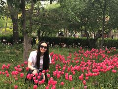 -燕郊植物园