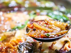 -重庆特色冷锅鱼(武大店)
