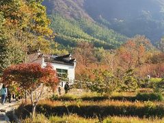 -塔川景区
