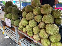 -万尾金滩