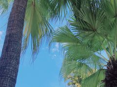 -重庆海昌加勒比海水世界