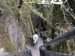 -梦幻奥陶纪景区