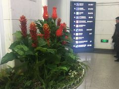 -沈阳站