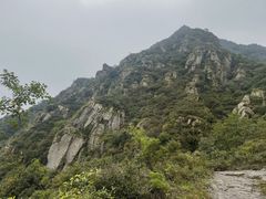 -阳台山自然风景区