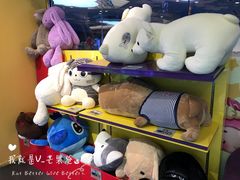 -PAWTOY爪e玩偶店(天兴罗斯福店)