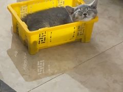 -联合动物医院(光谷诊疗中心)