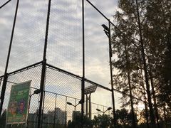 -江湾体育中心游泳馆