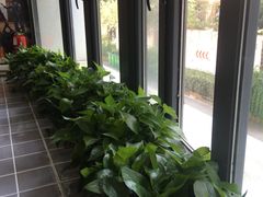 -小龍鳳·港式海鲜打边炉(沙湖路店)