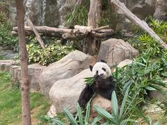 -香港海洋公园