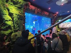 -沈阳海洋探索中心