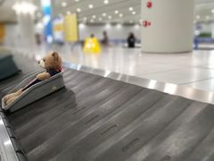 -上海浦东国际机场-T2航站楼