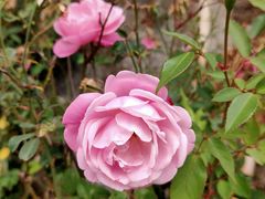 -中国移动南方基地