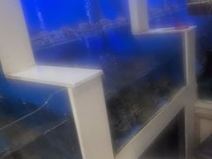 -小铜锣湾海鲜家常菜馆(河西店)