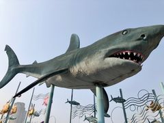 -海合安武汉极地海洋公园