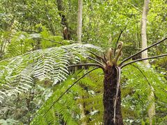 -赤水丹霞旅游区·佛光岩