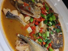 -7017浙菜•建德味(中财店)