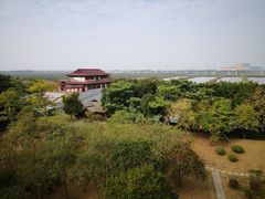 -大湾区中央湿地公园