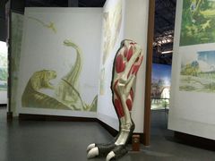 -中国西峡恐龙遗迹园