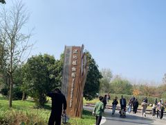 -溱湖国家湿地公园