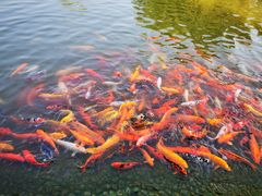 -常州花鸟园酒店(西太湖品牌优选店)