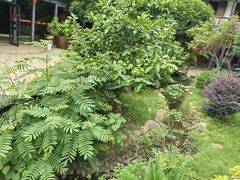 -柴米油盐(土菜院子店)