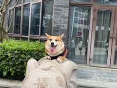 -天后宫岭南民俗文化街