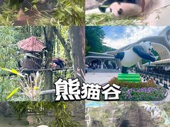 -都江堰景区